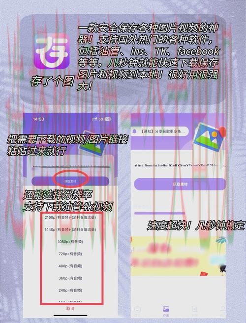 免费下载金年会娱乐APP的全面指南