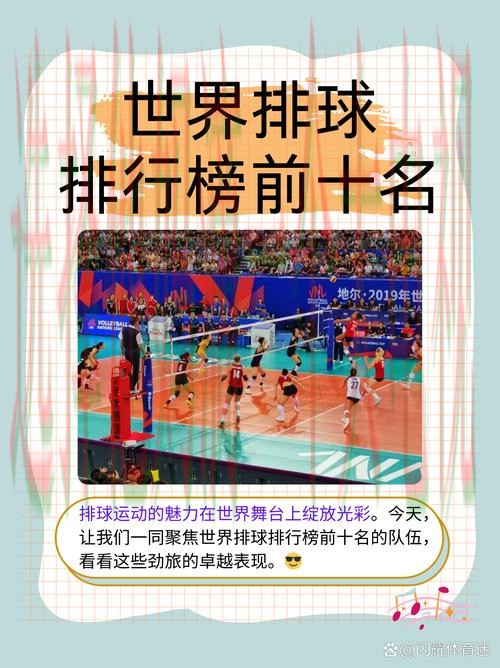 探索金年会体育正规版的精彩世界