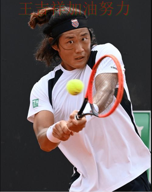 张之臻最新动态引发关注 防守端问题再次暴露